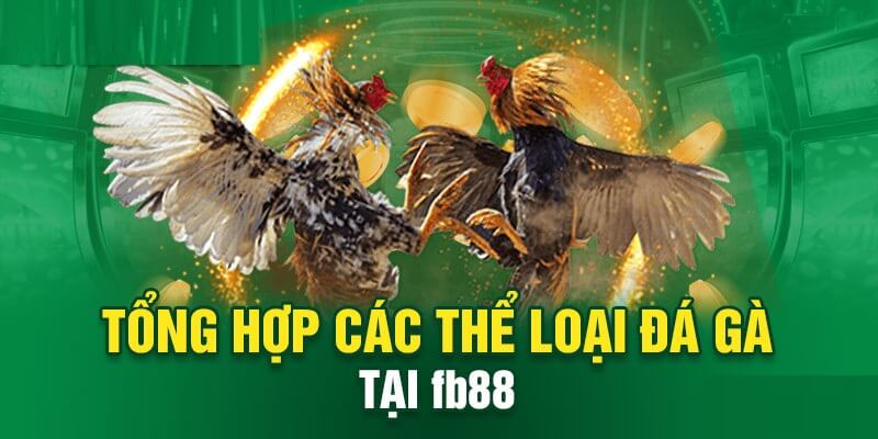 Tổng hợp 3 thể loại cơ bản