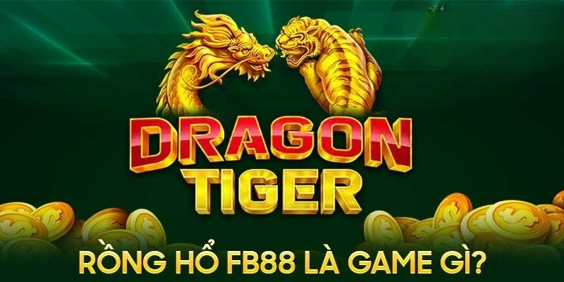 Khái quát thông tin giới thiệu về Rồng hổ FB88