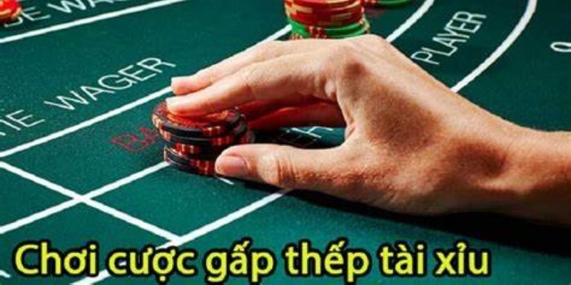 Đánh gấp thếp giúp gỡ vốn chỉ với 1 ván thắng