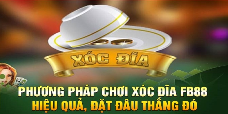 Bật mí mẹo cược đơn giản nhưng dễ thắng lớn cho tân thủ